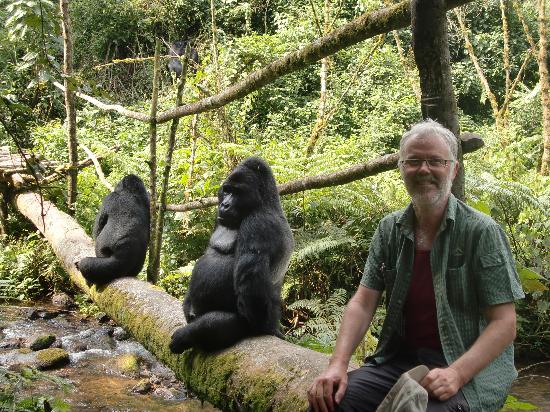 Safe Affordable Gorilla Safaris in Uganda-Here your Money Stretches Further