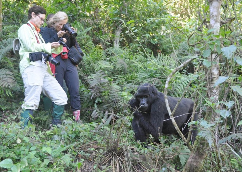 The Gorilla Trekking Experience –What to expect on your Gorilla Encounter