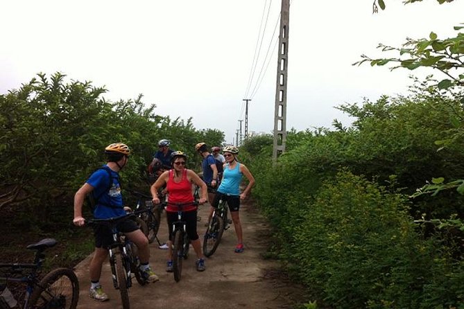 Mountain Biking Through Bwindi Impenetrable Forest