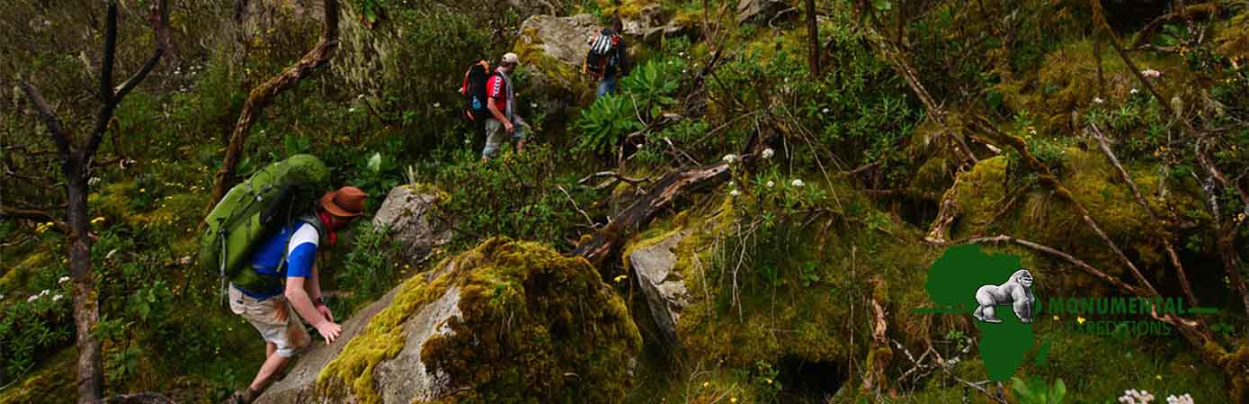 4 Days Mount Rwenzori