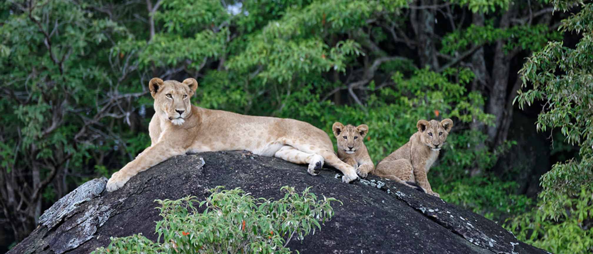 The best time to visit kidepo Valley National Park