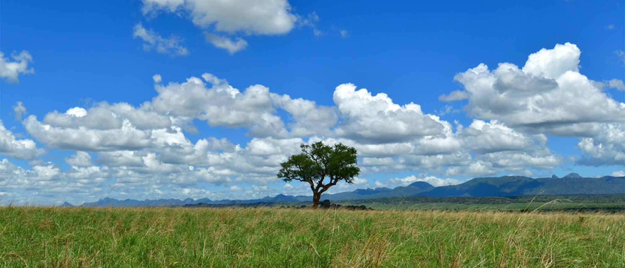 Nature walks and hikes at Kidepo Valley National Park