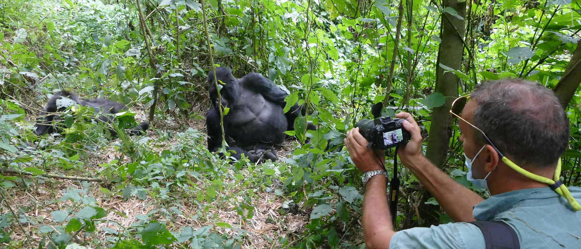 Gorilla Trekking at Mgahinga Gorilla National Park