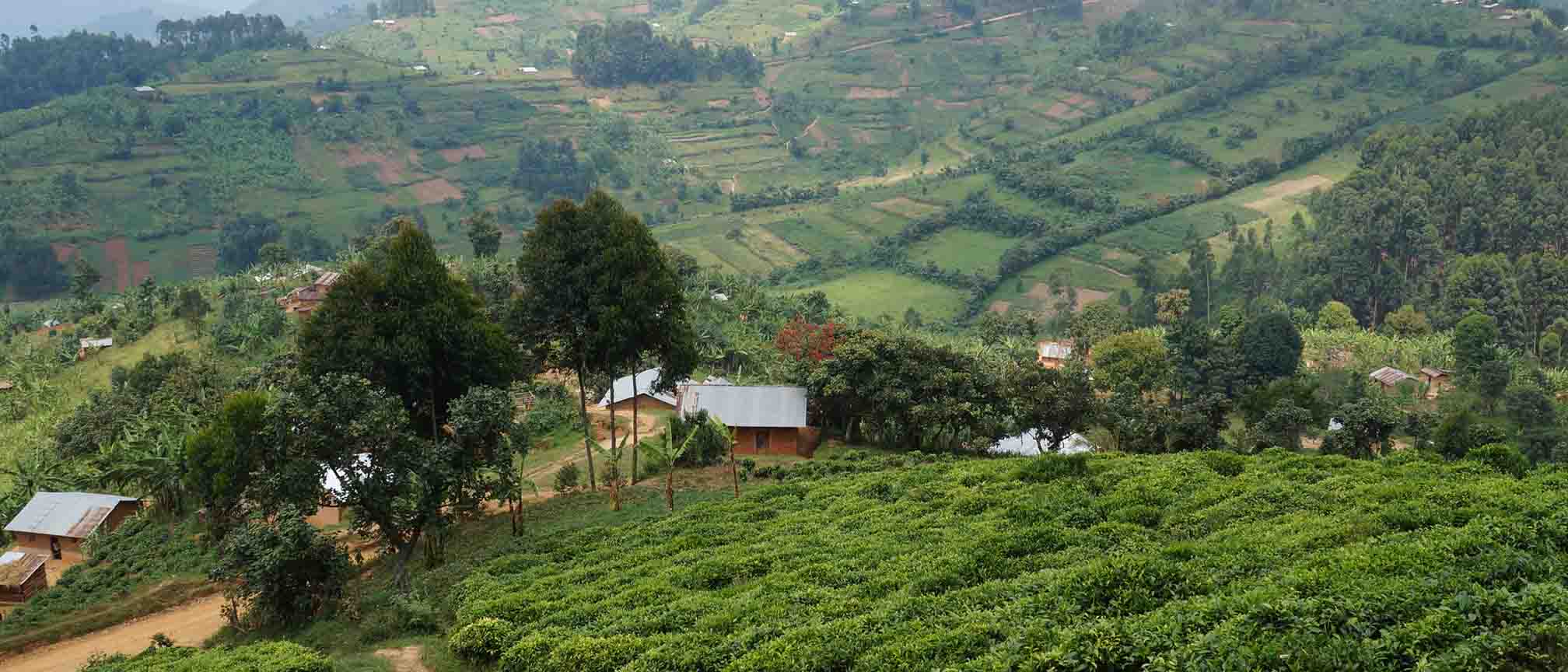 Agro Tourism at Queen Elizabeth National Park 