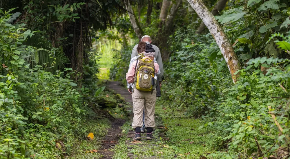 10 Compelling Reasons To Visit Kibale Forest National Park