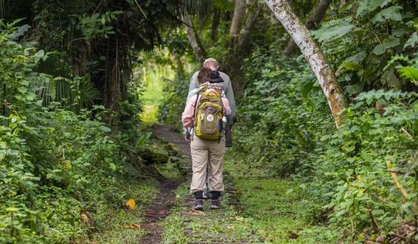 10 Compelling Reasons To Visit Kibale Forest National Park