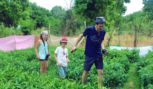 Exploring Agro-Tourism In Uganda: A Unique And Sustainable Adventure