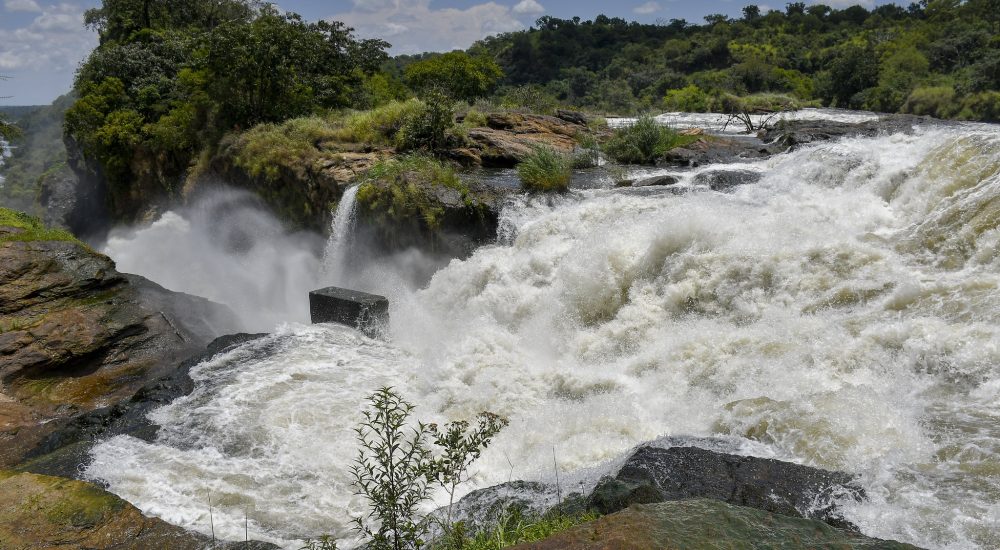 Your Ultimate Guide To Booking A Murchison Falls Safari In Uganda