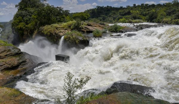 Your Ultimate Guide To Booking A Murchison Falls Safari In Uganda