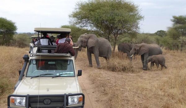 Why Visit Tanzania For Safari?