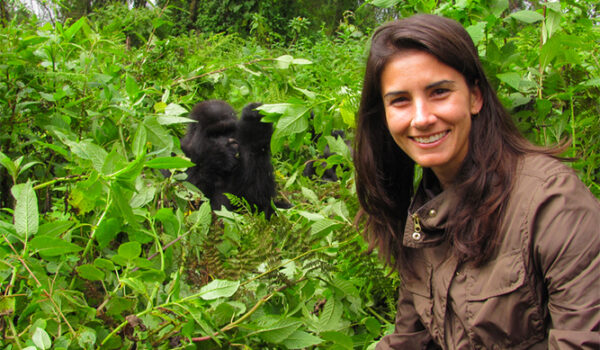 Rwanda Luxury Gorilla Trips And Primate Safari