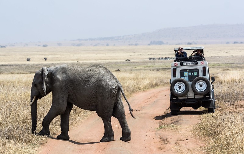 Family Friendly Safari Tours In Africa