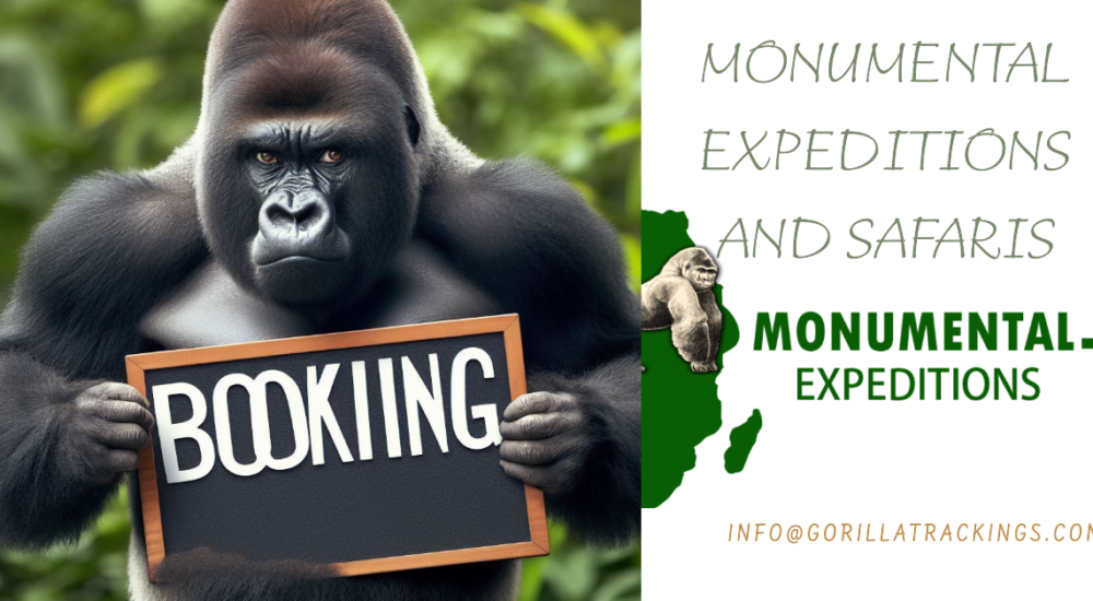 Bwindi Gorilla Safari Bookings