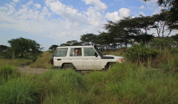 Game Drive Safaris In Queen Elizabeth National Park