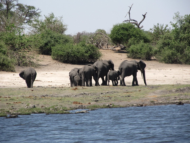 Botswana Safaris and tours.