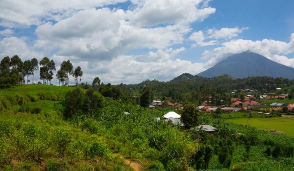 Tour Operators In Kisoro Uganda – Gorilla Safaris From Kisoro.