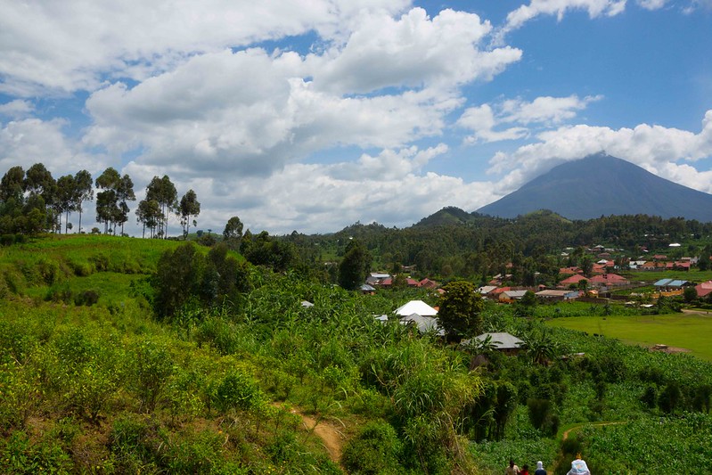 Tour Operators In Kisoro Uganda – Gorilla Safaris From Kisoro.