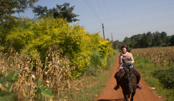 Horseback Riding In Uganda – Lake Mburo National Park And Jinja Uganda.