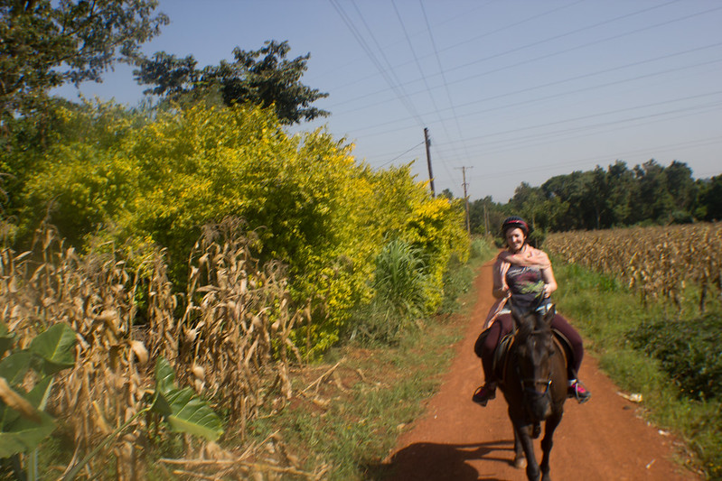 Horseback Riding In Uganda – Lake Mburo National Park And Jinja Uganda.