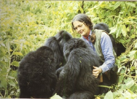 Dian Fossey In East Africa.