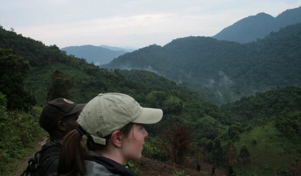 Gorilla Tracking Permits For Nkuringo Sector – Bwindi Impenetrable National Park.