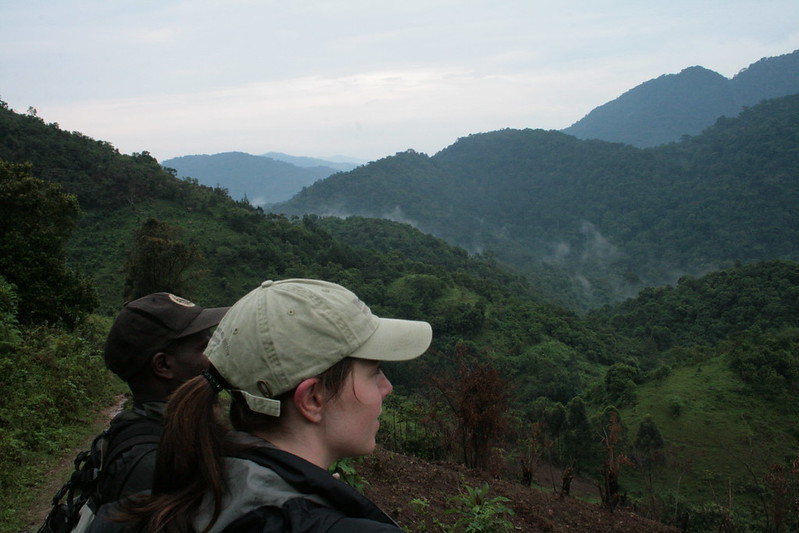 Gorilla Tracking Permits For Nkuringo Sector – Bwindi Impenetrable National Park.