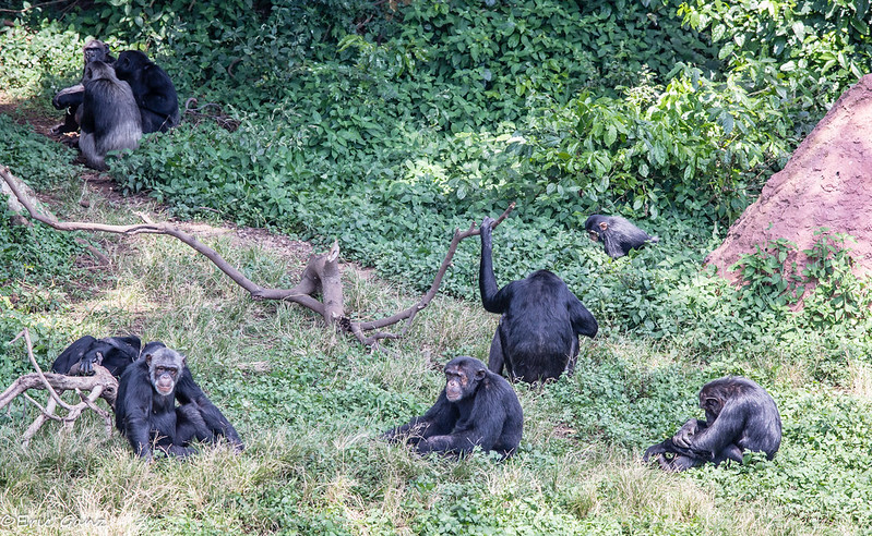 Entebbe adventure excursions.