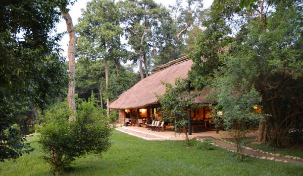 Ishasha Wilderness Camp - Luxury Accommodation In Queen Elizabeth NP - Luxury Ishasha Wilderness Camp – Tree Climbing Lions In Ishasha Sector Of Queen Elizabeth National Park.