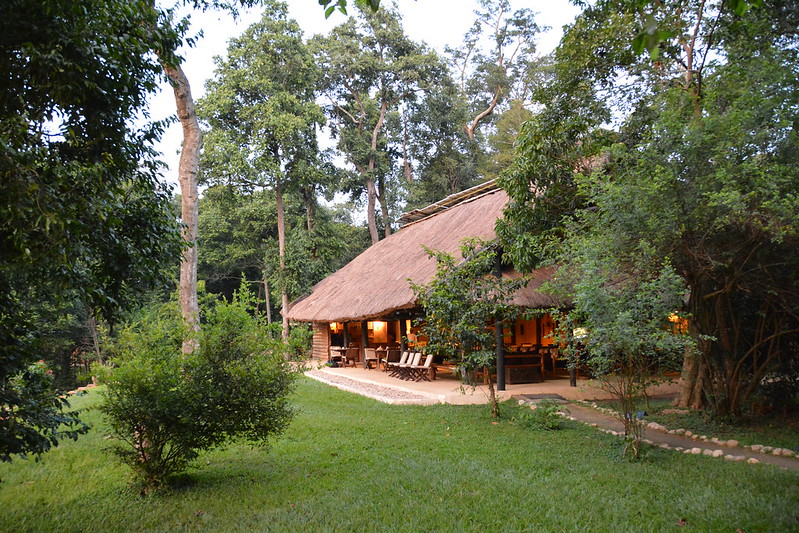 Ishasha Wilderness Camp - Luxury Accommodation In Queen Elizabeth NP - Luxury Ishasha Wilderness Camp – Tree Climbing Lions In Ishasha Sector Of Queen Elizabeth National Park.