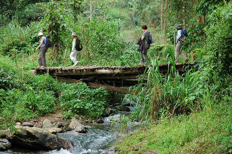 Walking safaris from Buhoma to Nkuringo - Monumental Expeditions and ...