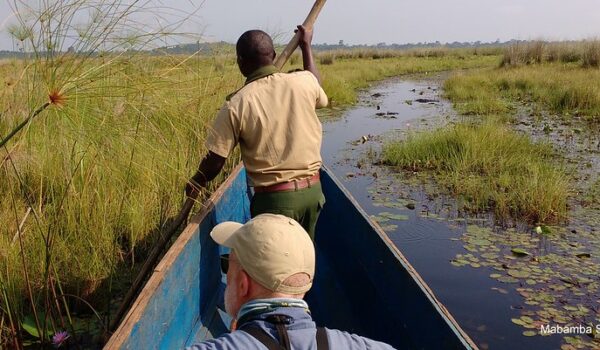 Mabamba Swamp Birding Adventures.