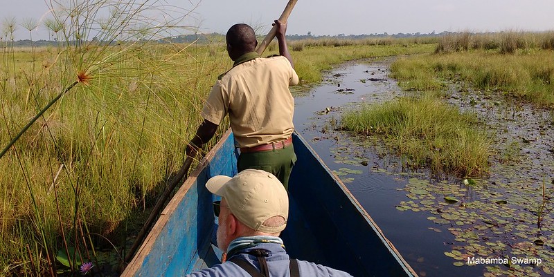 Mabamba Swamp Birding Adventures.