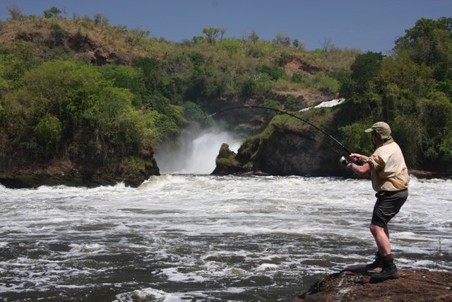 How To Get To Murchison Falls National Park- Game Safaris In Uganda.