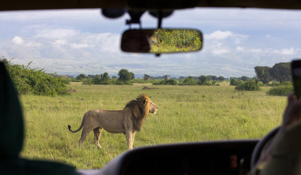 Uganda Tours With Monumental Expeditions And Safaris – Gorilla Tours, Wildlife And Boat Safaris.