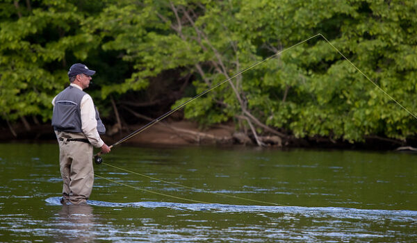 Uganda Fishing Safaris-spot Fishing On The Nile.