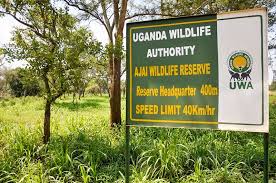 Ajai Wildlife Reserve Uganda – Wildlife And Things To Do.