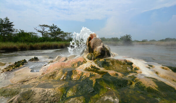 Luxury Safaris To Semuliki National Park – 4 Days Sempaya Hot Springs And Chimpanzee Tracking In Kibale Forest.