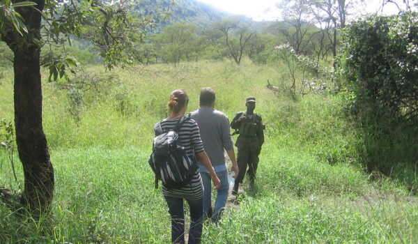 Rules Of Surviving A Uganda Walking Safari – Walking Tours In The Pearl Of Africa.