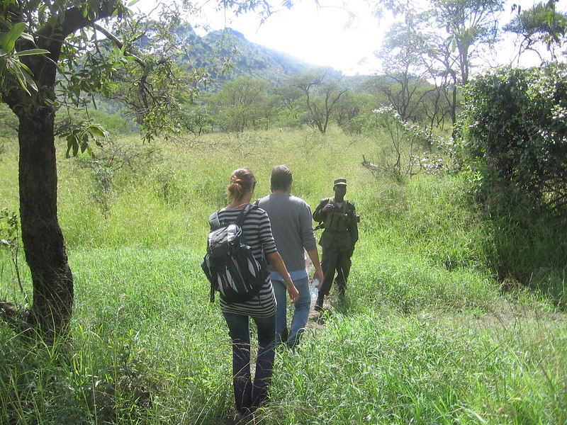 Rules of surviving a Uganda walking safari – Walking tours in the pearl of Africa.