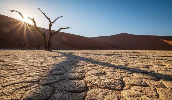 Visit Namib Naukluft National Park Namibia – Namibia Holidays And Safaris.