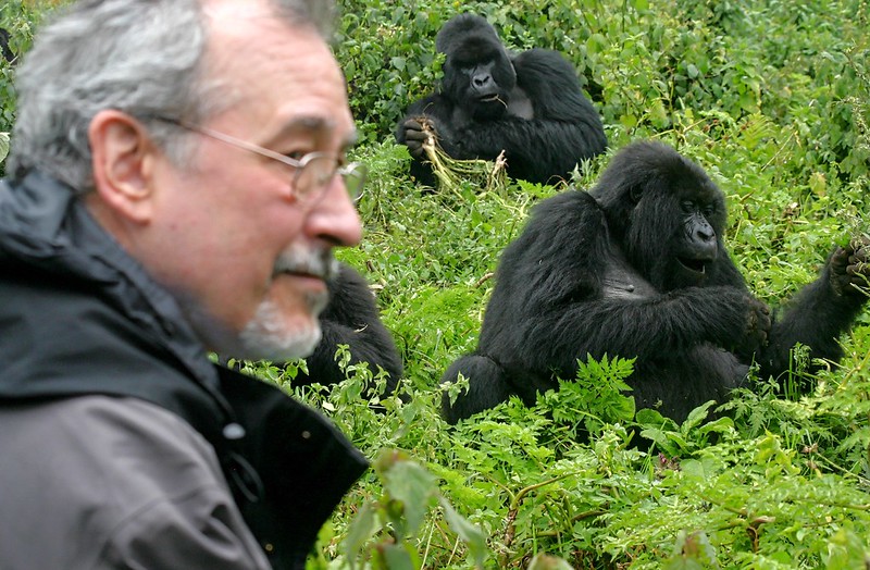 How To Behave In Front Of A Gorilla