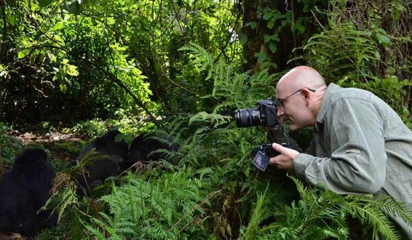 Is Gorilla Trekking Cheaper In Uganda Or Rwanda