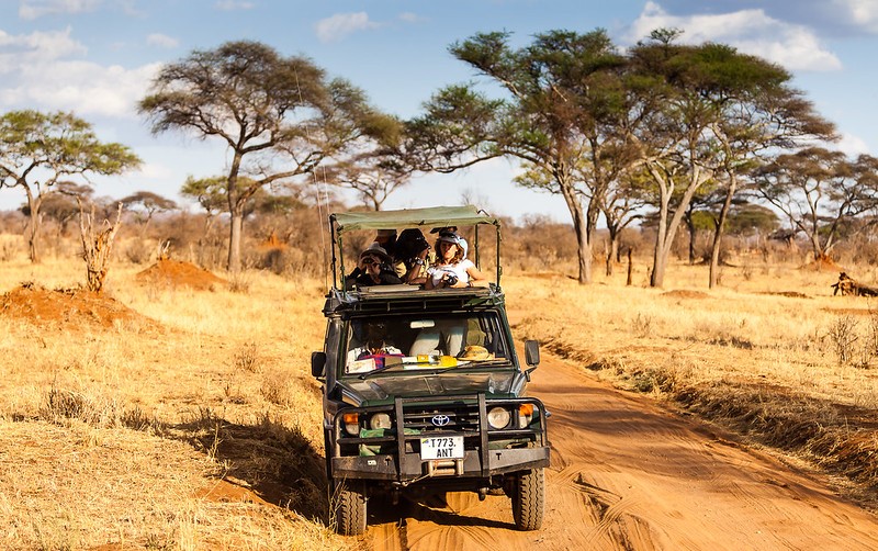 Tanzania Safari Tours