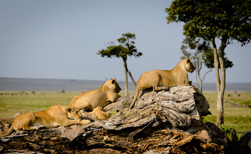 10 Most Beautiful & Interesting Places To Visit In Kenya