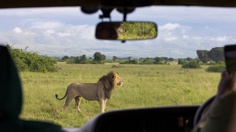 10 Things To Consider Before Booking A Uganda Safari In 2025-26