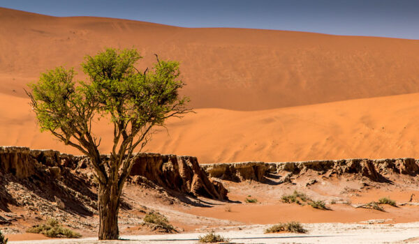 14 Top Places To Visit In Namibia