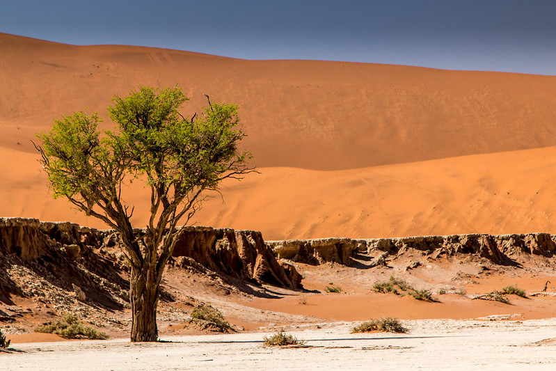 14 Top Places To Visit In Namibia