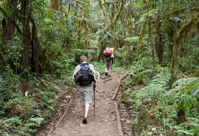 Can You Climb Kilimanjaro Without A Guide