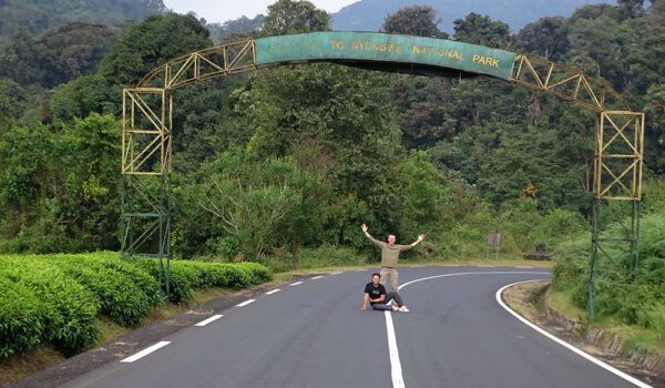 How Is Safety And Security Guaranteed During Chimp Trekking In Nyungwe National Park