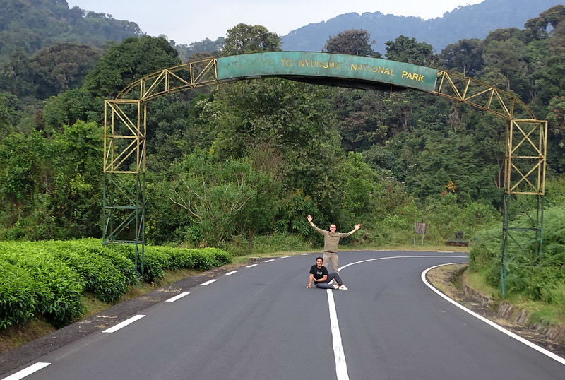 How Is Safety And Security Guaranteed During Chimp Trekking In Nyungwe National Park